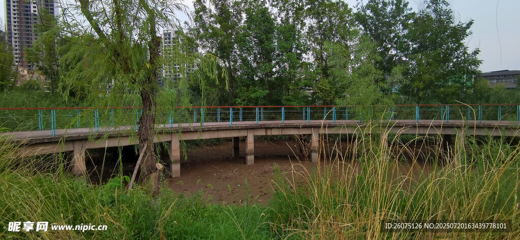 河畔木橋