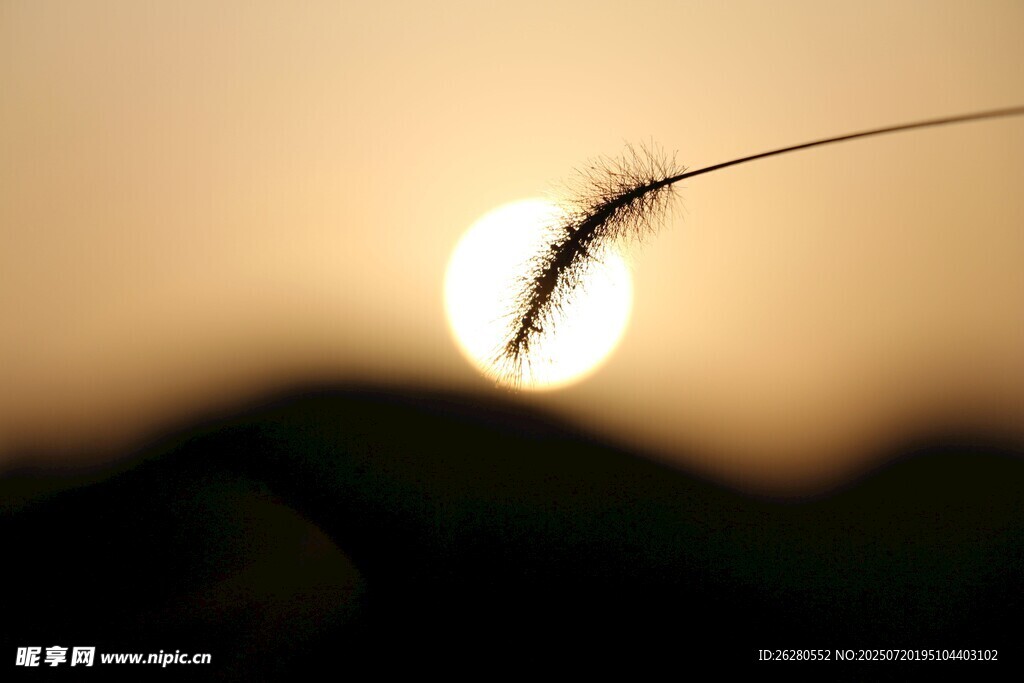 夕陽(yáng)重影