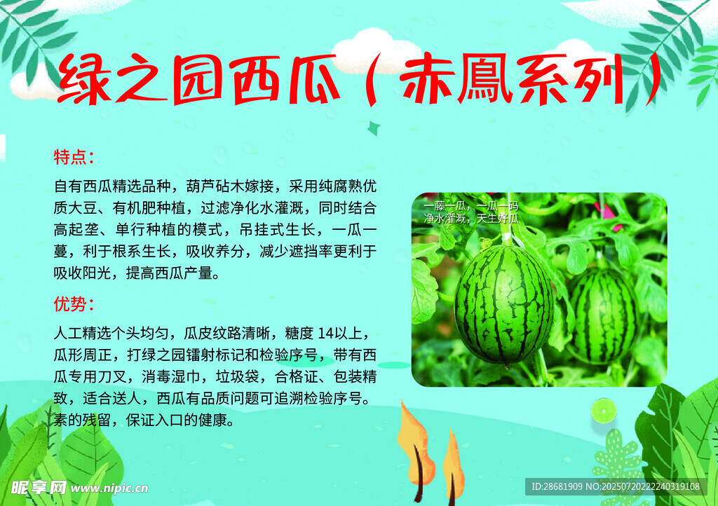 綠之園赤瓟系西瓜介紹