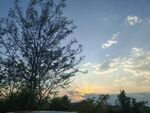 夕陽下的樹木與天空美景