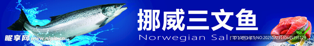挪威三文魚展示三文魚
