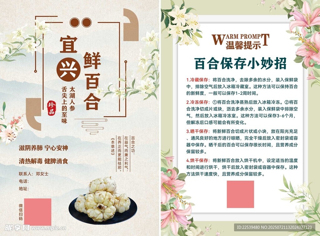 宜興鮮百合