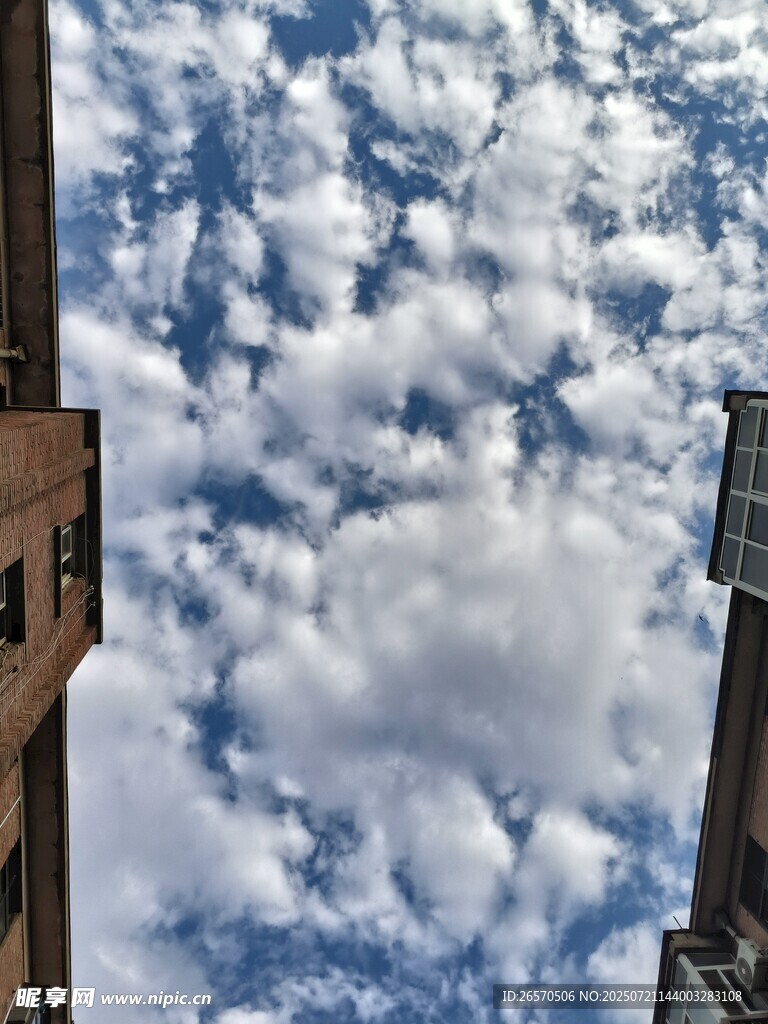 仰望城市上空的藍(lán)天白云