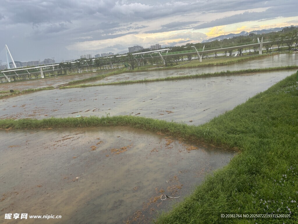 雨后水田風(fēng)光