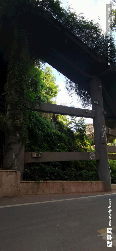 綠蔭覆蓋的古樸木質(zhì)門廊