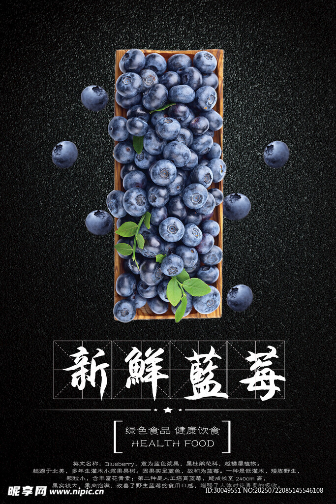 藍莓海報