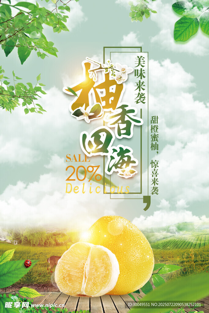 柚子海報