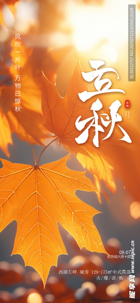 秋日楓葉 