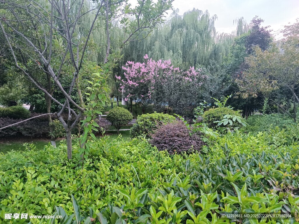 春日繁茂園林景觀