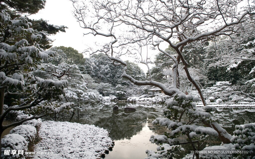 雪覆園林靜謐冬日景致