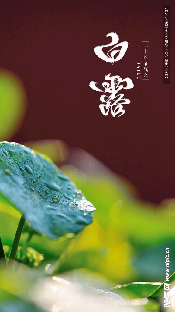 白露海報(bào)背景