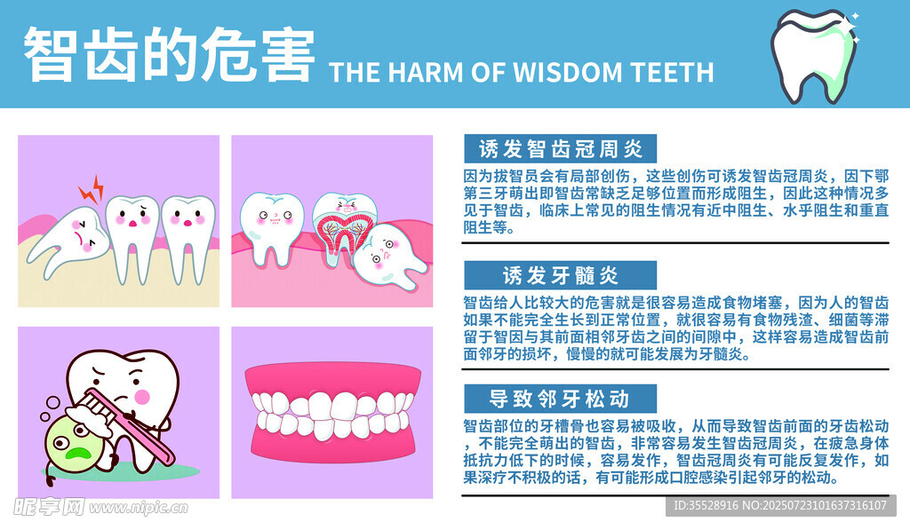智齒的危害科普信息圖