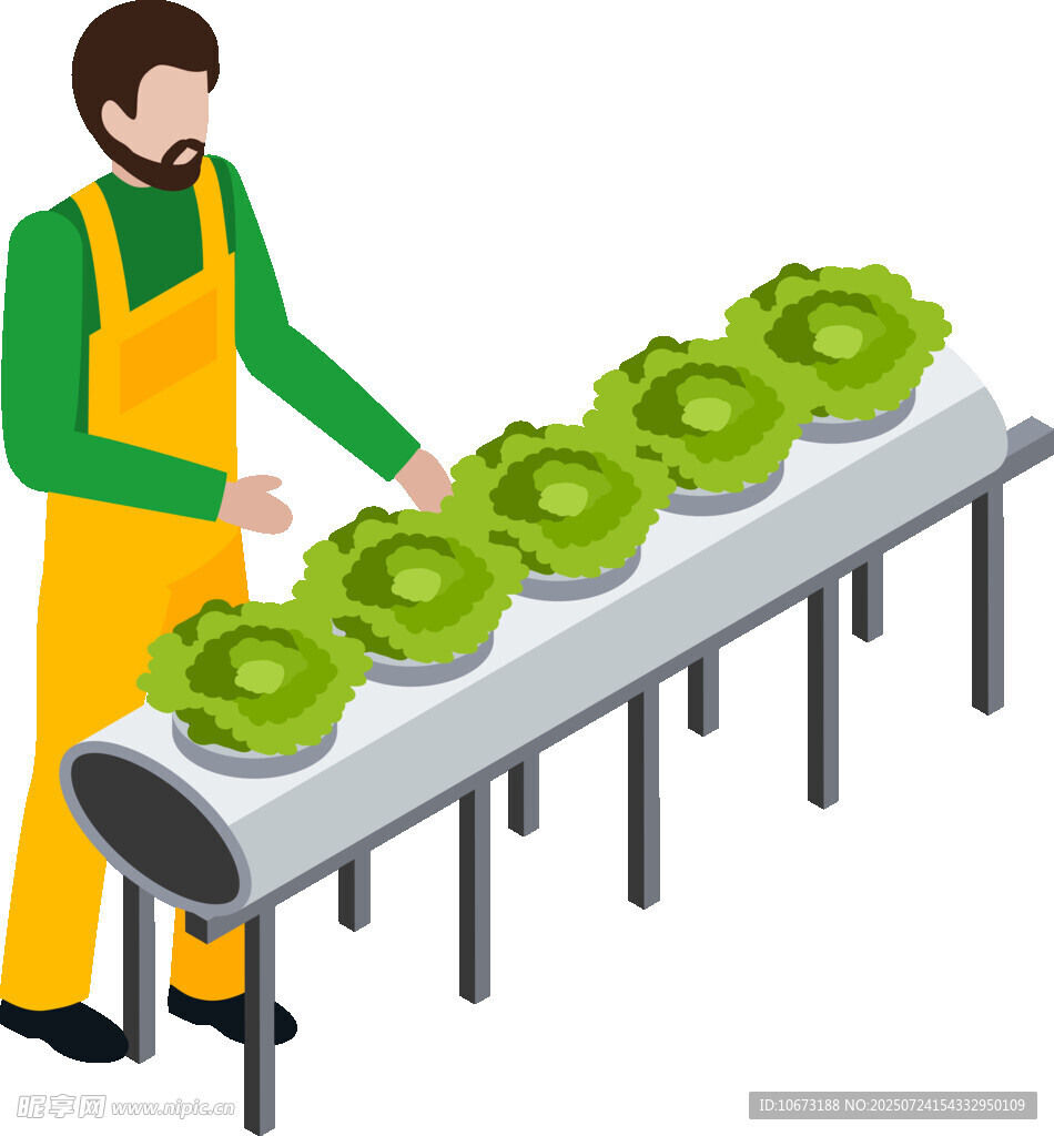 工人檢查傳送帶上的蔬菜