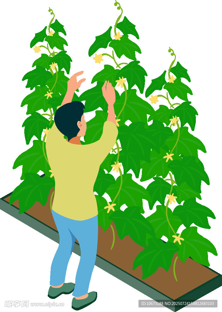 農(nóng)民田間打理綠色植物