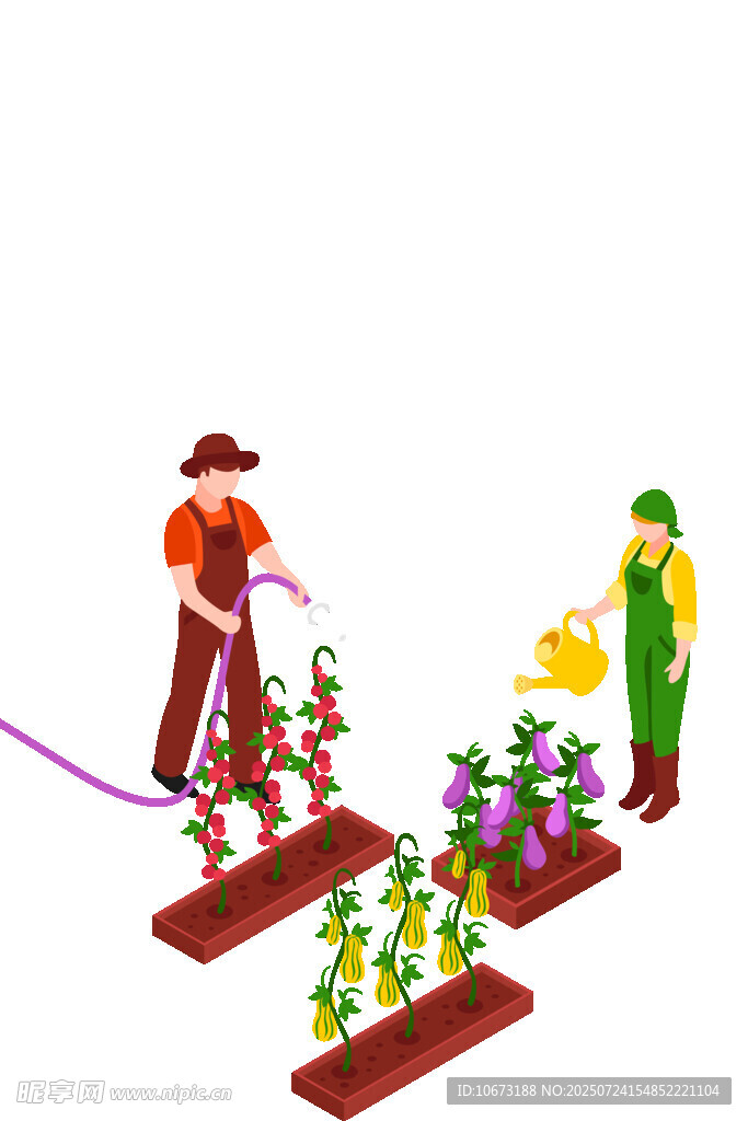 農民辛勤勞作種植蔬菜