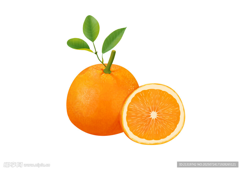 卡通橙子插畫