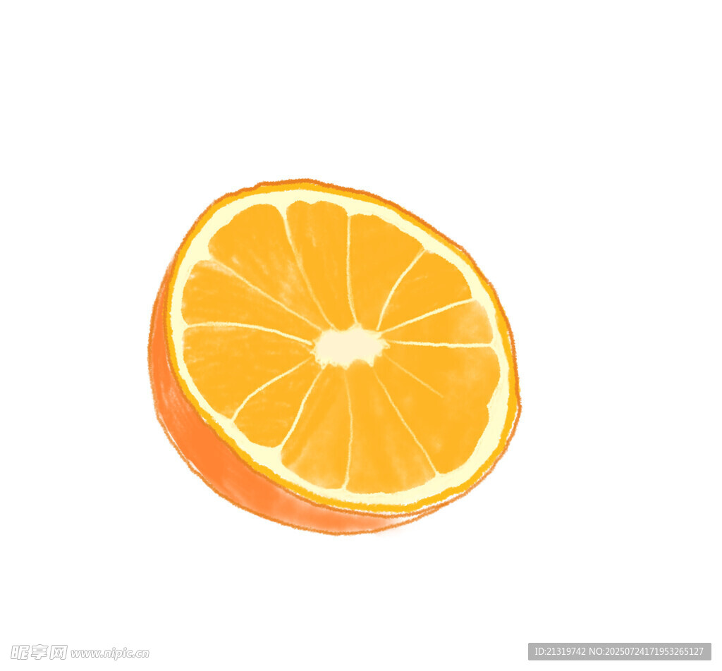 手繪橙子插畫
