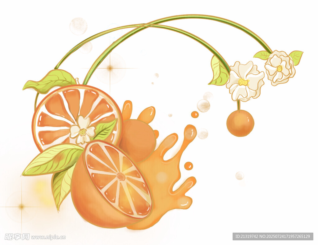 水彩橙子插畫
