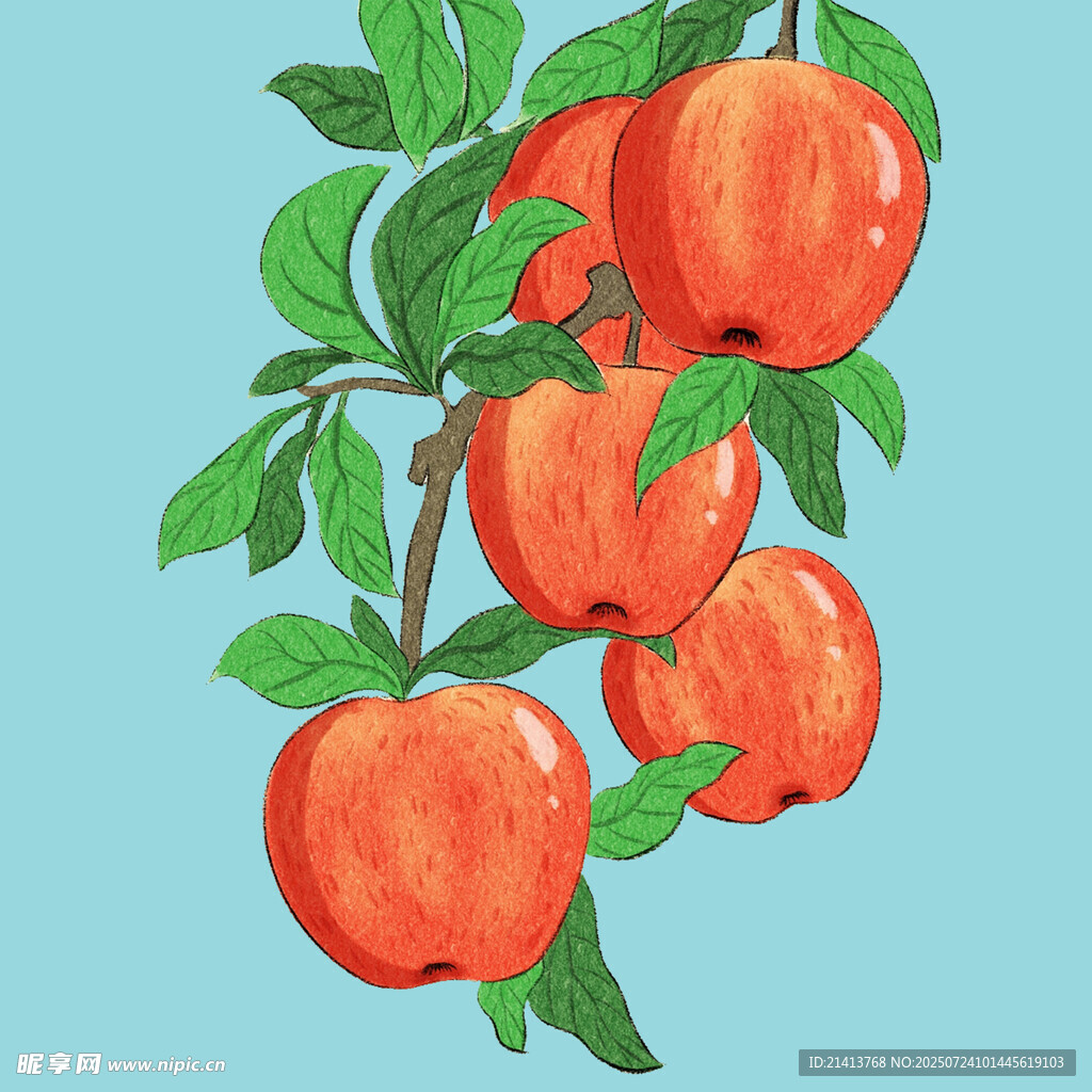 枝頭紅蘋果