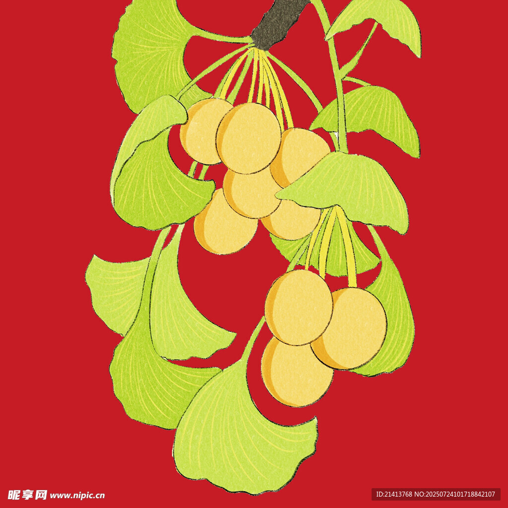 紅底銀杏果枝葉插畫