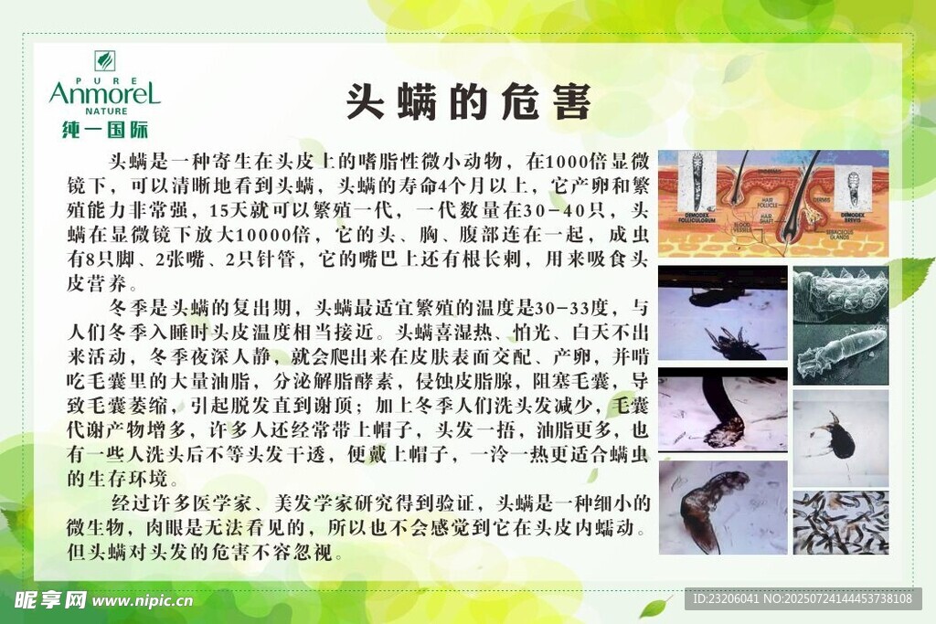 頭療