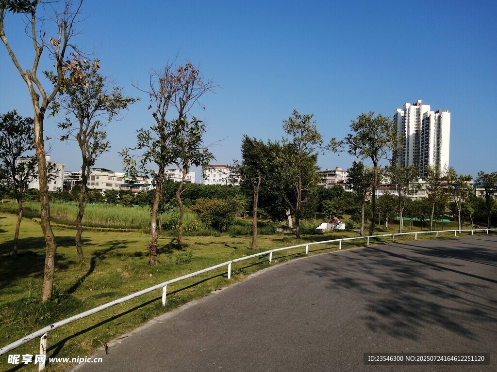 公園彎道風景