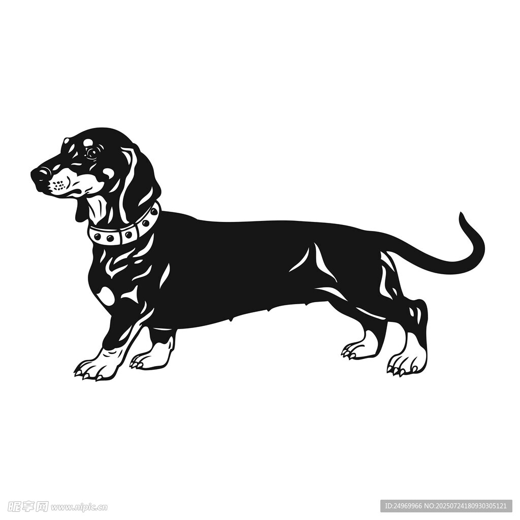 臘腸犬黑白簡約插畫
