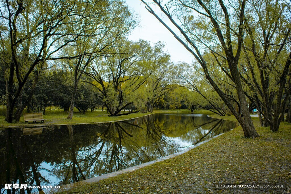 河畔樹林風(fēng)景