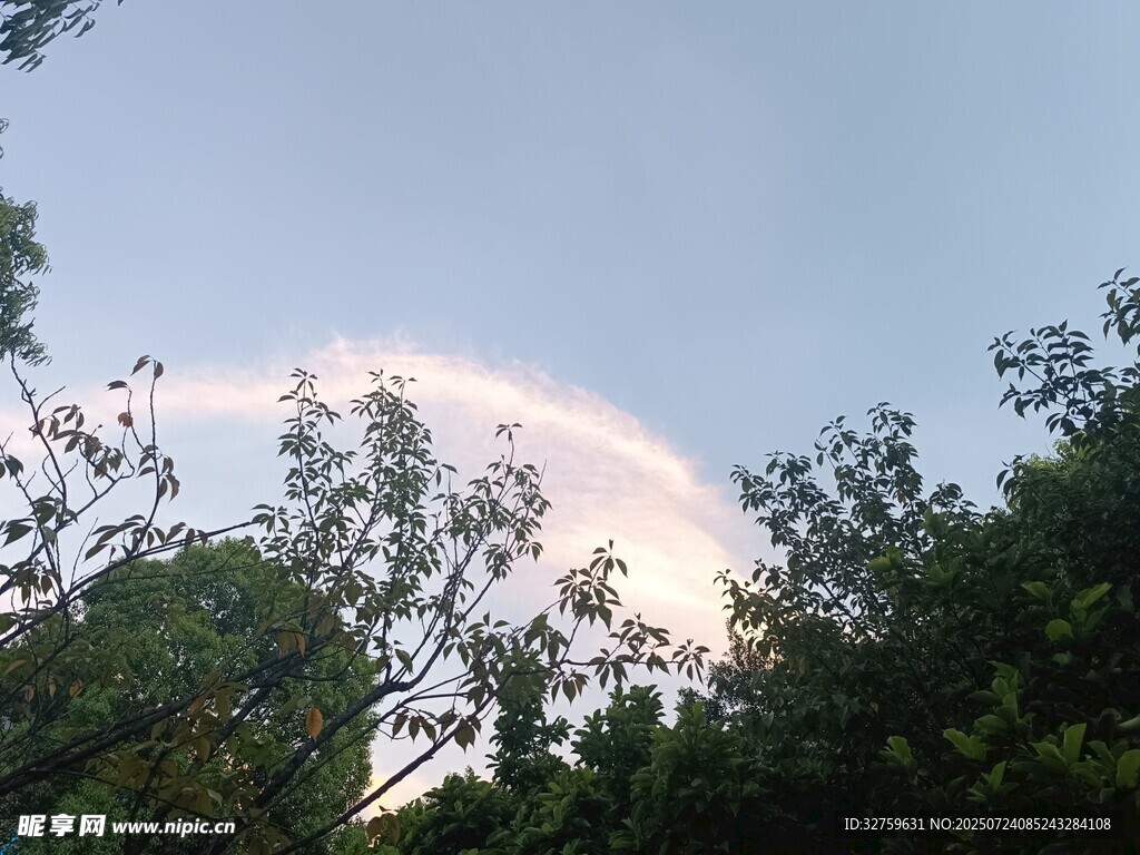 林間彩虹現(xiàn)