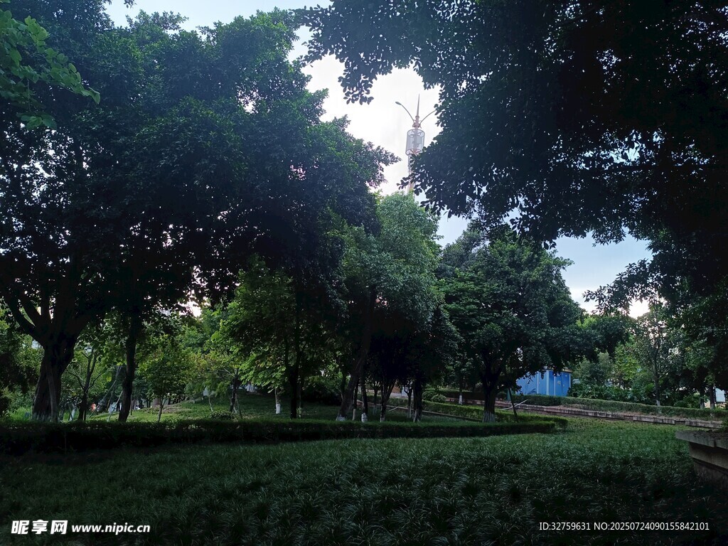 綠意盎然的公園景致