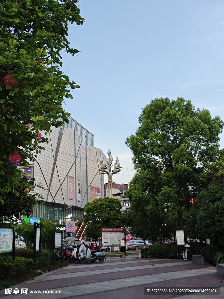 城市街道邊的綠樹(shù)與建筑