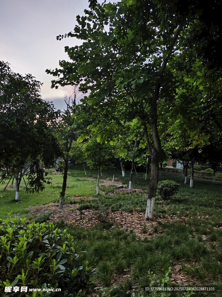 靜謐林間綠地景觀