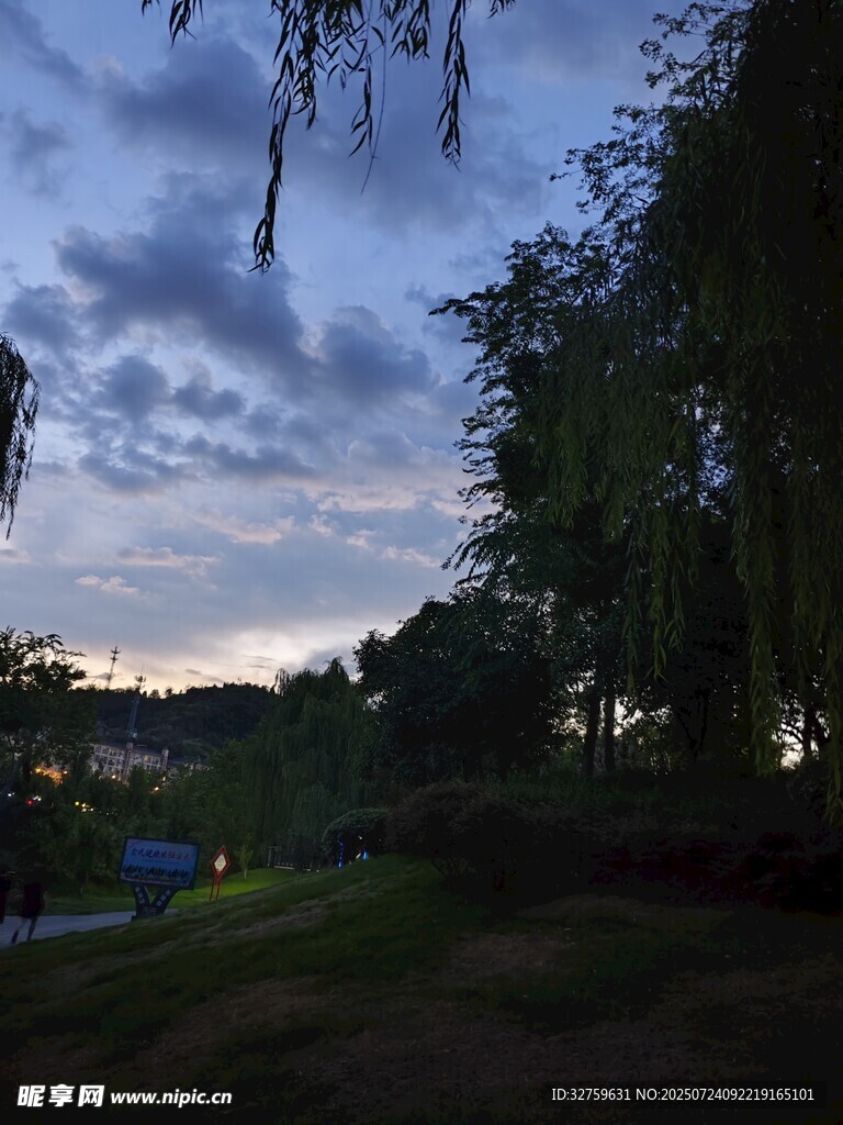 黃昏下的樹林與天空美景