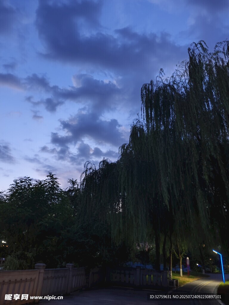 夜幕下的垂柳景觀