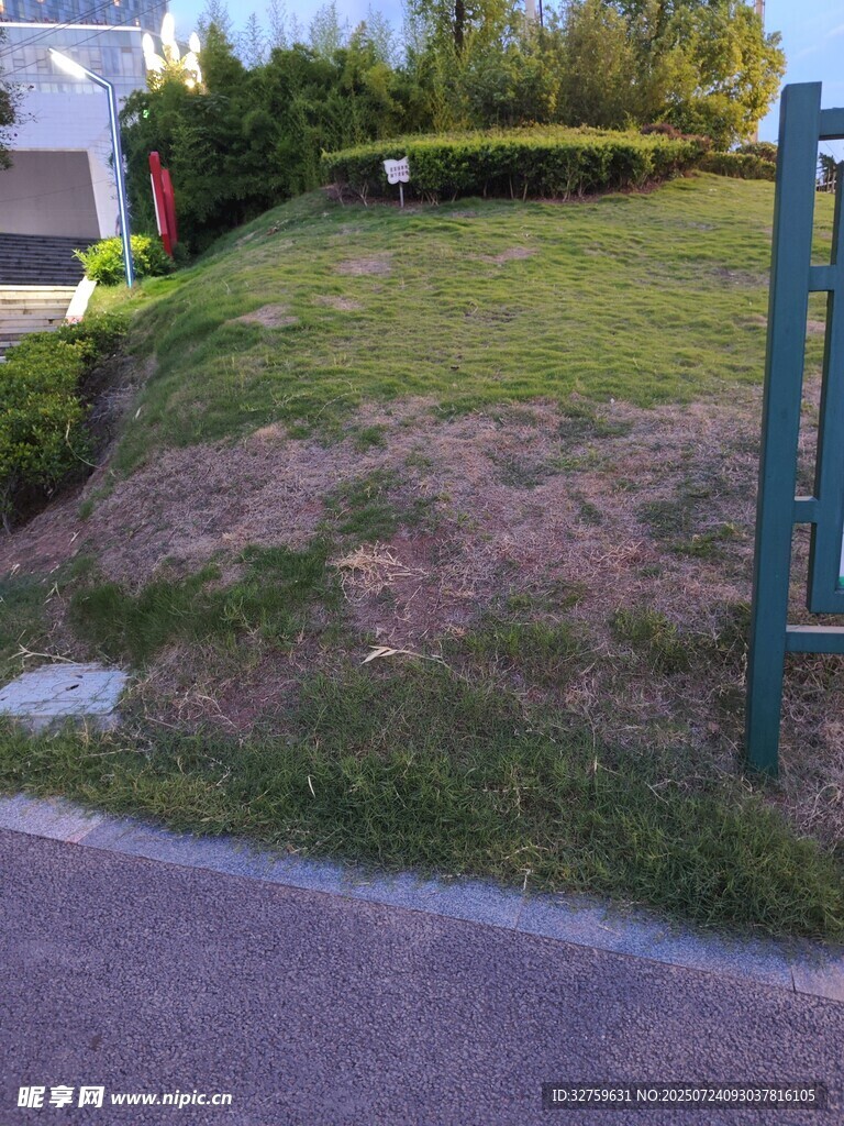 戶外傾斜草地與綠植景觀
