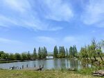 湖畔風光   綠樹藍天映碧水