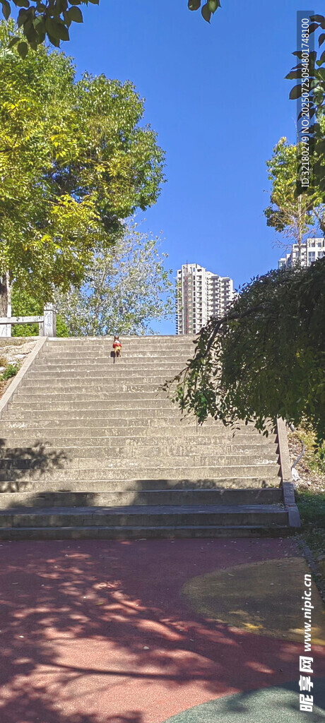 開心小狗