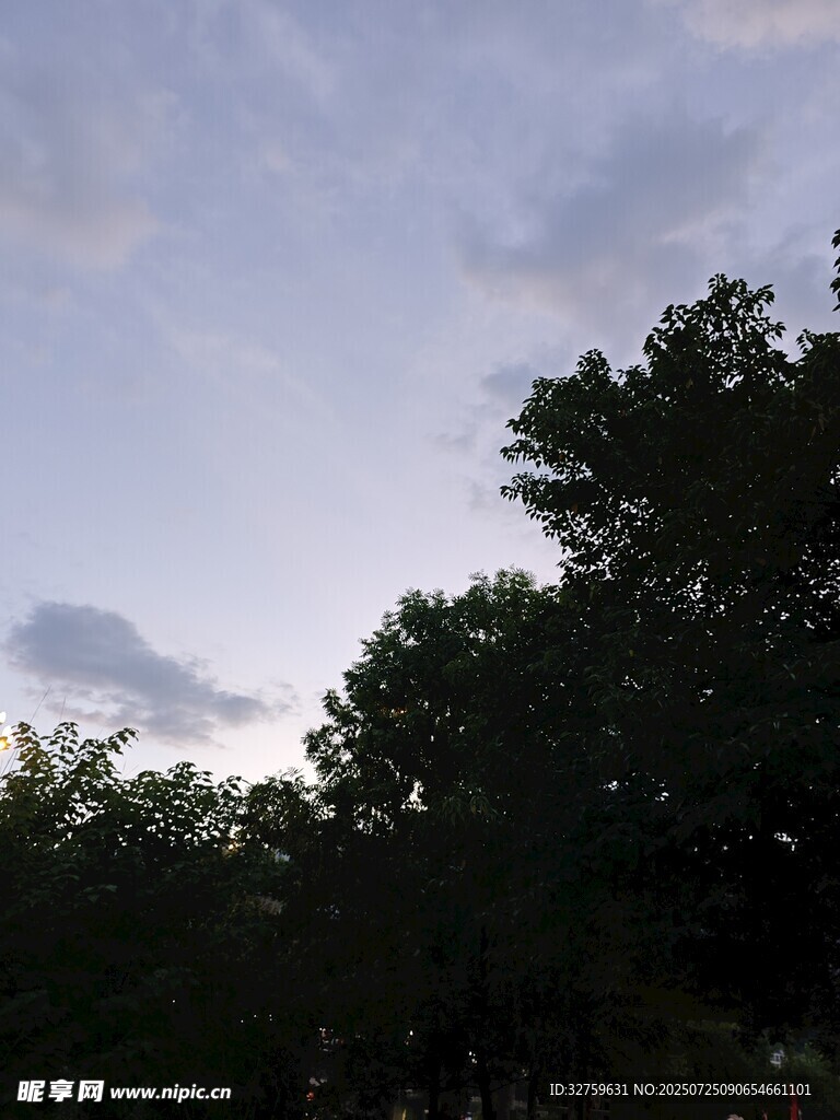 黃昏下的樹(shù)林與天空