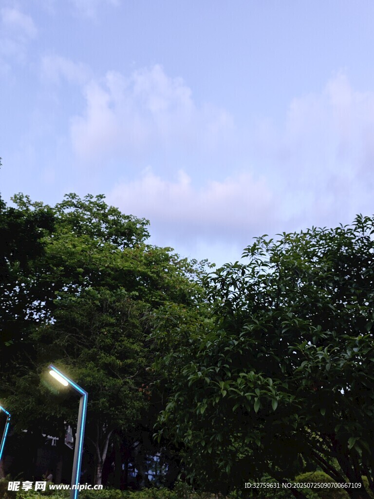 戶(hù)外綠樹(shù)與明亮路燈景象