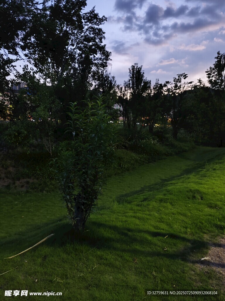 黃昏下的綠意盎然草地
