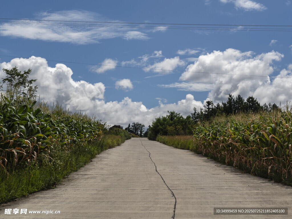 鄉(xiāng)村道路