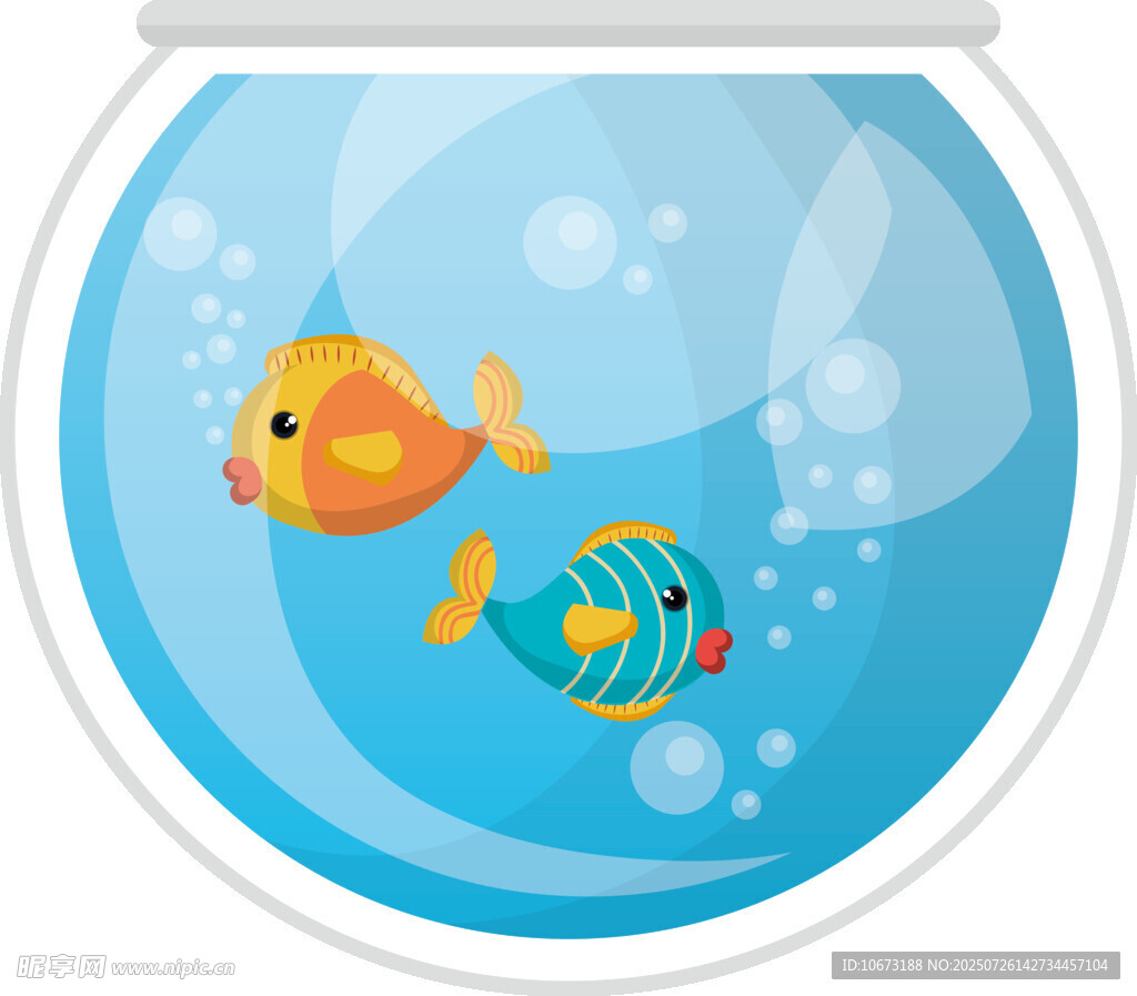 魚缸中的彩色小魚