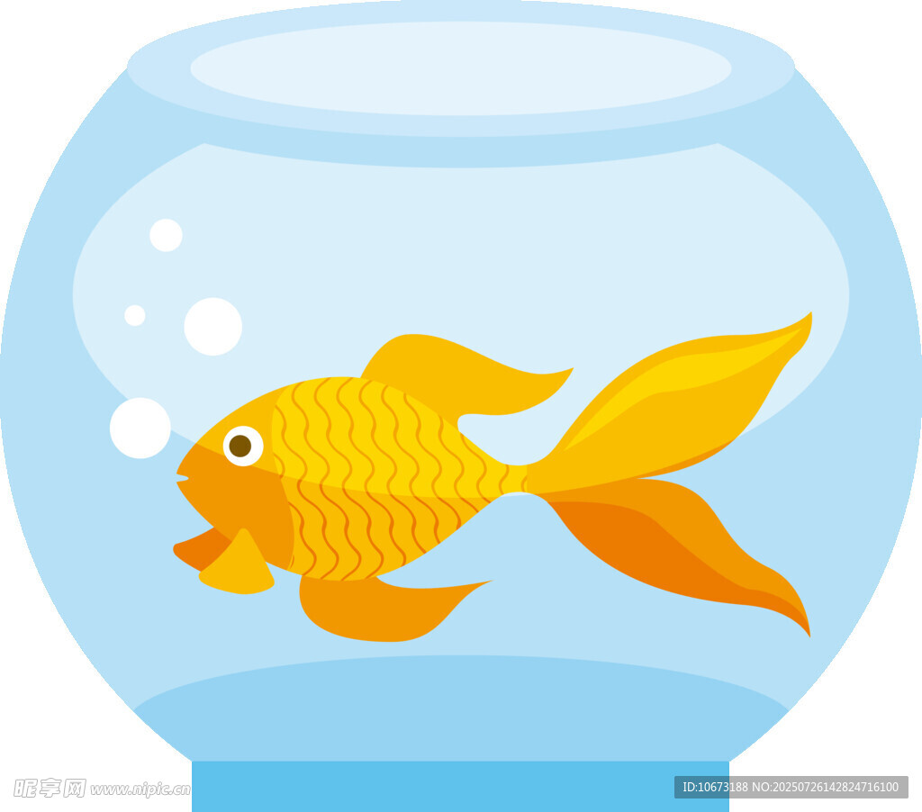 玻璃魚缸中的可愛金魚