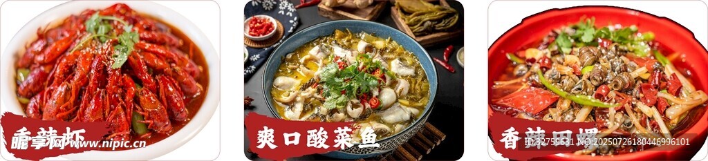多樣美食拼盤展示