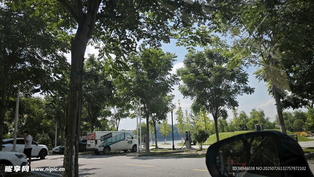 城市街道綠樹(shù)成蔭景象