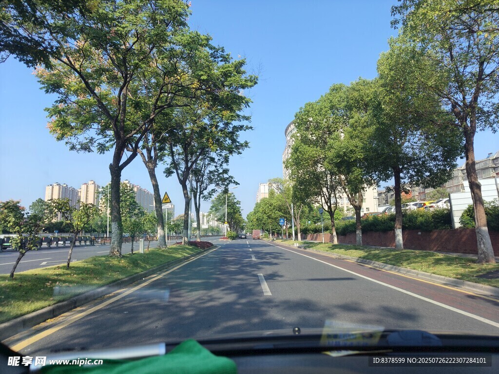 車內(nèi)視角的林蔭道路