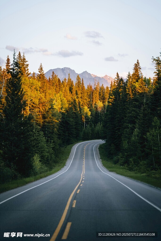林間公路的絕美黃昏景色