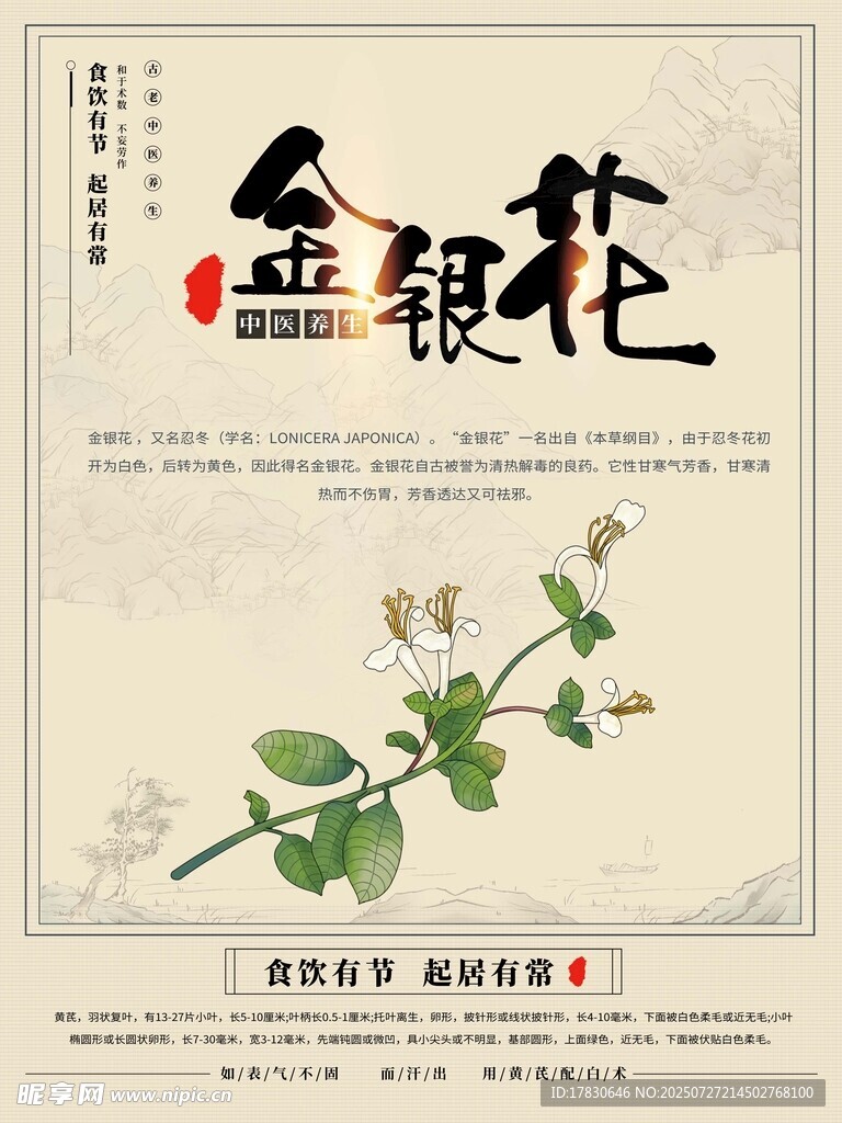 傳統(tǒng)中藥金銀花展示圖