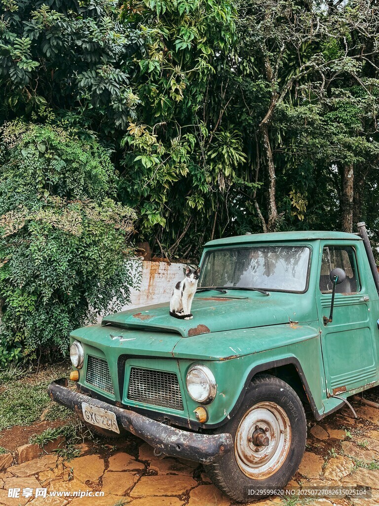 叢林中的復(fù)古綠色老卡車