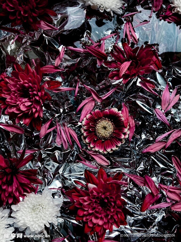 深紅花卉散落畫面